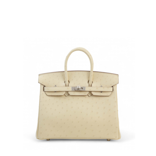 Hermes Birkin 25 Ostrich Parchemin Silver