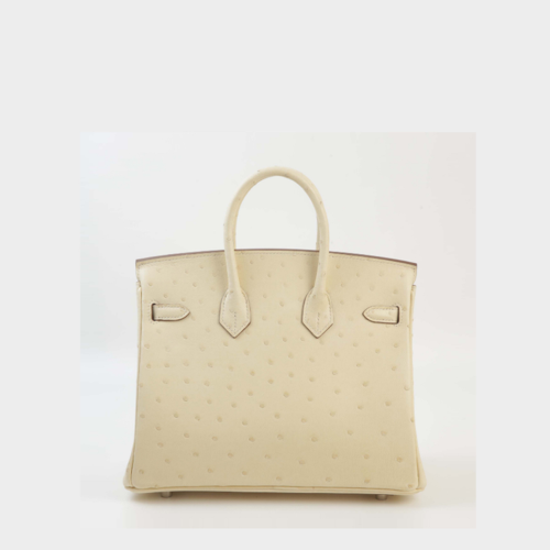 Hermes Birkin 25 Ostrich Parchemin Silver