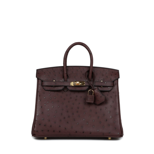 Hermes Birkin 25 Ostrich Chocolat Gold