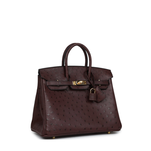 Hermes Birkin 25 Ostrich Chocolat Gold