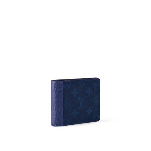 Louis Vuitton Multiple Wallet