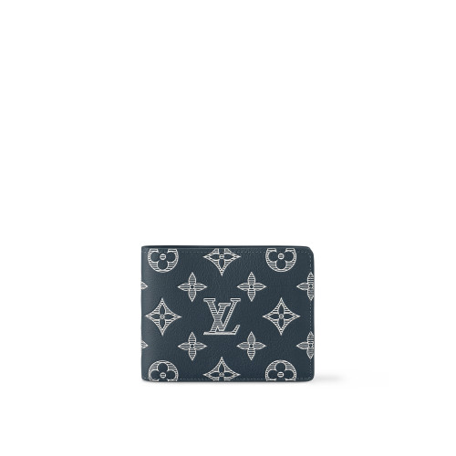 Louis Vuitton Multiple Wallet