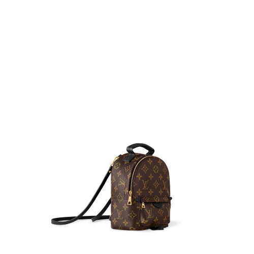 Louis Vuitton Palm Springs Mini