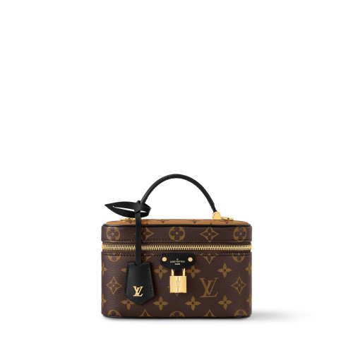 Louis Vuitton Vanity Chain Pouch