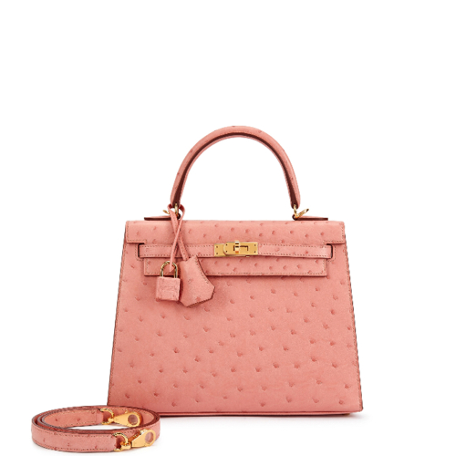 Hermes Kelly 25 Ostrich Terre Cuite Gold