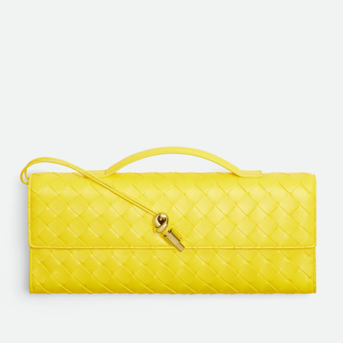 Bottega veneta Andiamo Clutch