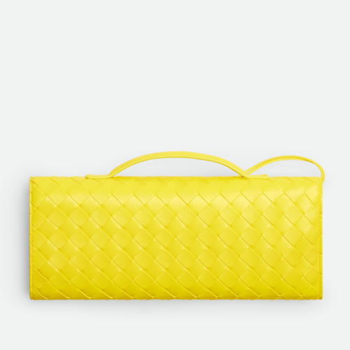 Bottega veneta Andiamo Clutch