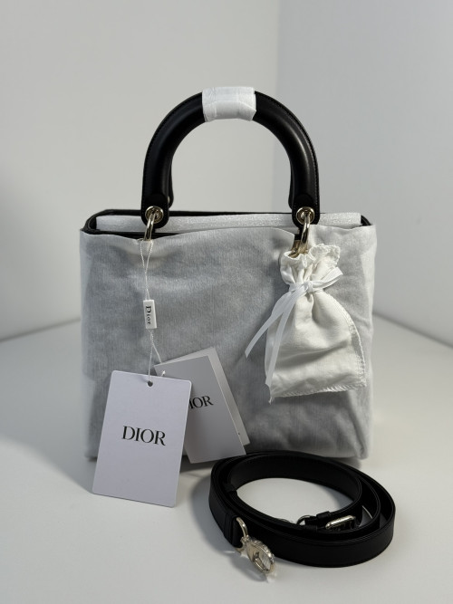조X서님 디올 레이디백