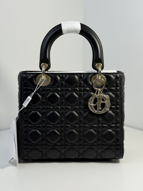 조X서님 디올 레이디백