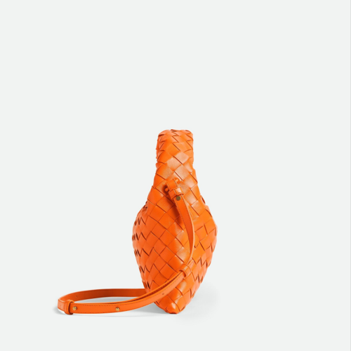 Bottega veneta Mini Hop