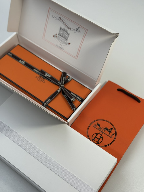 손X향님 에르메스 페가수스 백참