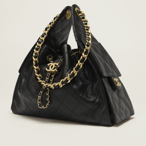 CHANEL 25 Small Handbag