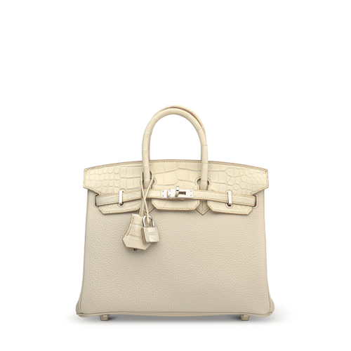 Hermes Birkin Touch 25