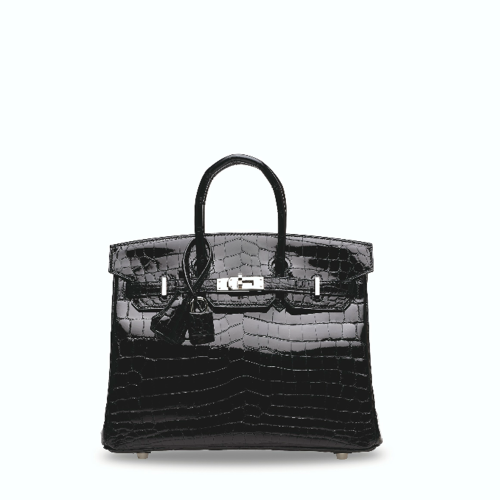 Hermes Birkin 25 Noir Silver