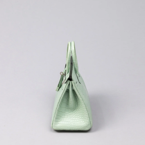 Hermes Birkin 20 Alligator Vert deau Silver