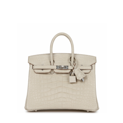 Hermes Birkin 25 Alligator Beton Silver