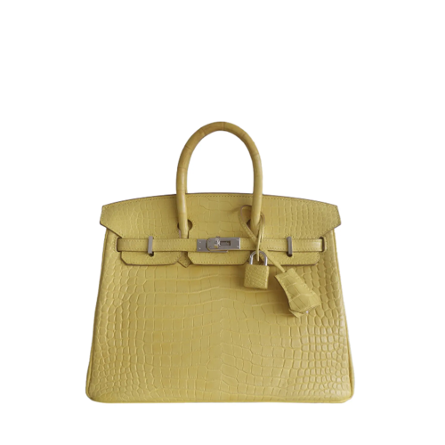 Hermes Birkin 25 Alligator Sliver