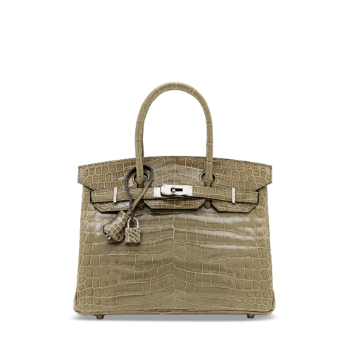 Hermes Birkin 30 Porosus Gris Tourterelle Silver