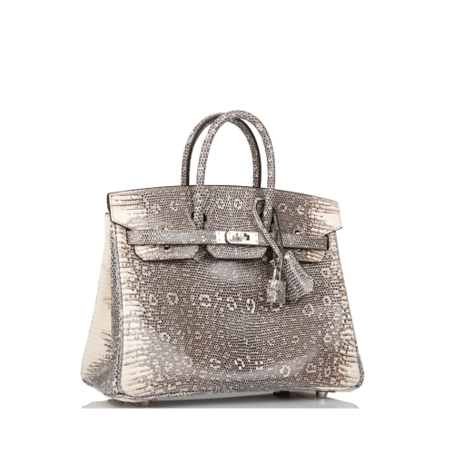 Hermes Birkin 25 Lizard Silver