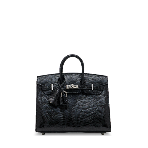 Hermes Birkin 20 Lizard Noir Silver