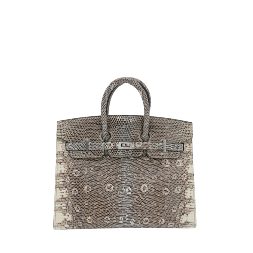 Hermes Birkin 20 Lizard Silver