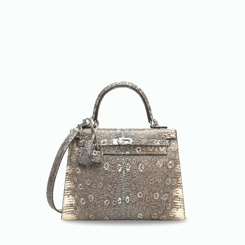 Hermes Kelly 25 Lizard Silver