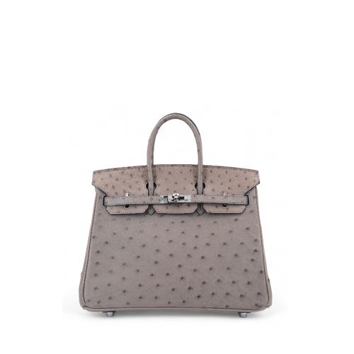 Hermes Birkin 25 Ostrich Gris Tourterelle Silver