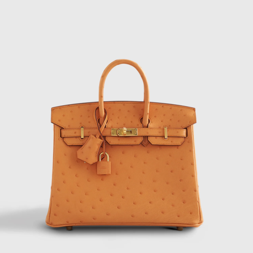 Hermes Birkin 25 Ostrich Gold Gold
