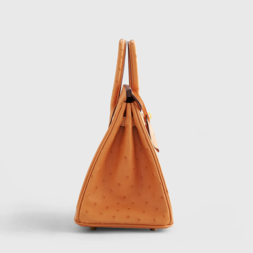 Hermes Birkin 25 Ostrich Gold Gold