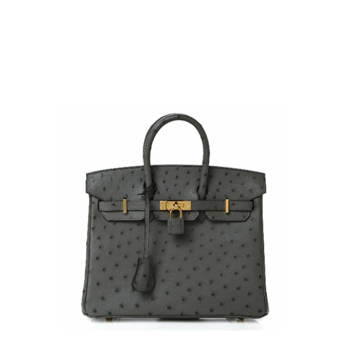 Hermes Birkin 25 Ostrich Gris Meyer Gold