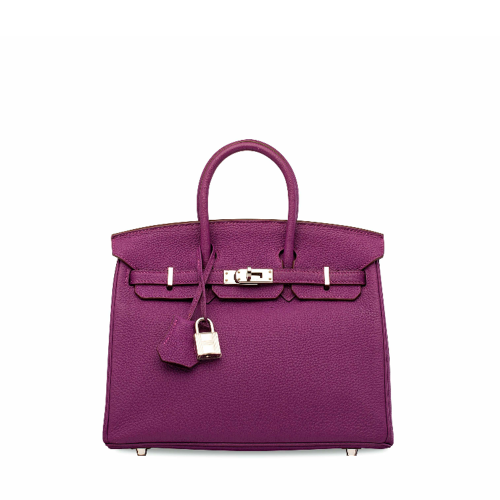 Hermes Birkin 25 Togo Anemone Silver