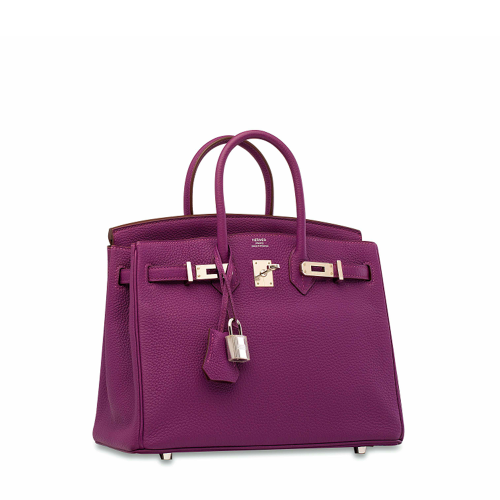 Hermes Birkin 25 Togo Anemone Silver