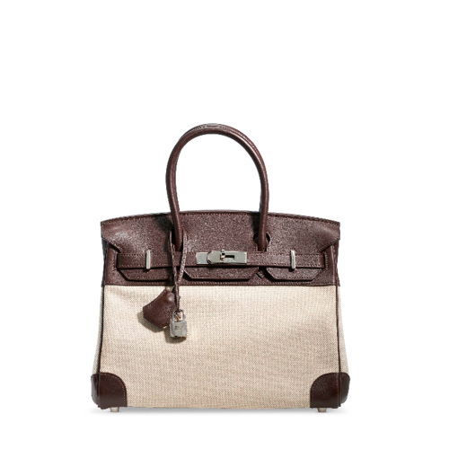 Hermes Birkin 25 Swift x Toile Silver