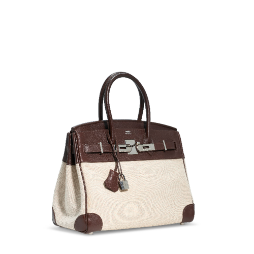 Hermes Birkin 25 Swift x Toile Silver